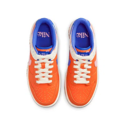 Nike (gs)  Dunk Low 'everything You Need'