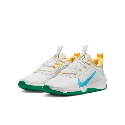 Nike (gs)  Omni Multi-court 'spring Colors'
