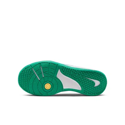 Nike (gs)  Omni Multi-court 'spring Colors'