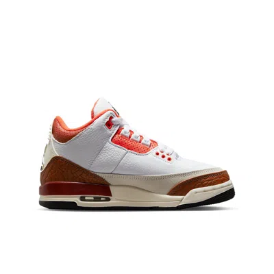 Air Jordan (gs)  3 Retro 'mars Stone' In Multi