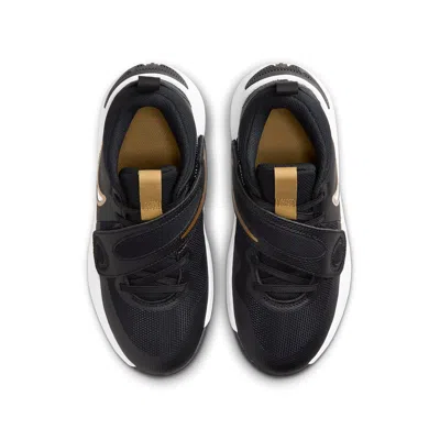Nike (gs)  Team Hustle D11 'black Metallic Gold' In Multi