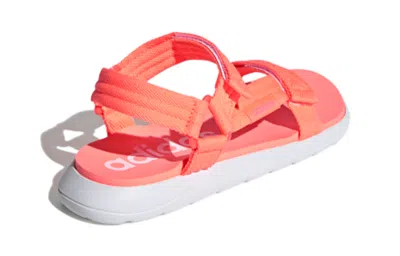 Adidas Originals (gs) Adidas Comfort Sandal K Pink Sandals 'pink Blue'