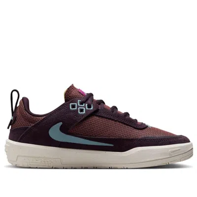 Nike (gs)  Sb Day One 'burgundy Ash Denim Turquoise' In Multi