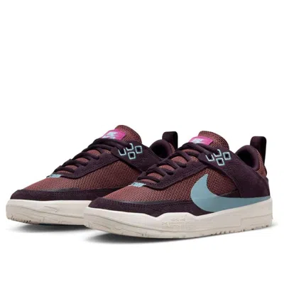 Nike (gs)  Sb Day One 'burgundy Ash Denim Turquoise' In Multi