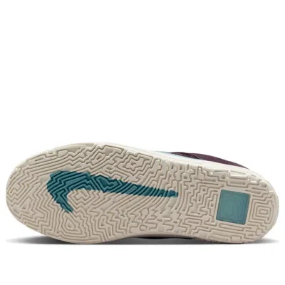 Nike (gs)  Sb Day One 'burgundy Ash Denim Turquoise' In Multi