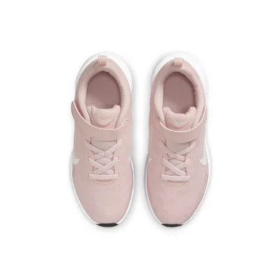 Nike (ps)  Revolution 7 'echo Pink'