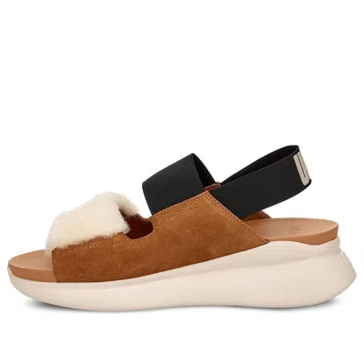 Ugg (wmns)  Other Sports Sandals 'chestnut Brown Black White'