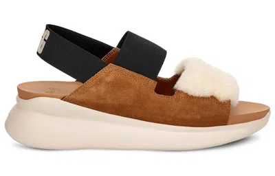 Ugg (wmns)  Other Sports Sandals 'chestnut Brown Black White'