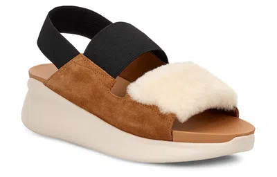 Ugg (wmns)  Other Sports Sandals 'chestnut Brown Black White'