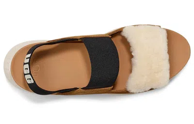 Ugg (wmns)  Other Sports Sandals 'chestnut Brown Black White'