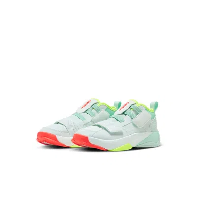 Air Jordan (ps)  Zion 2 'spring Hoops' In Multi
