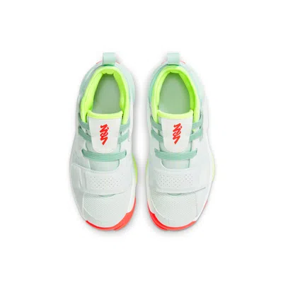 Air Jordan (ps)  Zion 2 'spring Hoops' In Multi