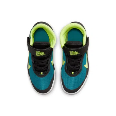 Nike (ps)  Team Hustle D 10 Flyease