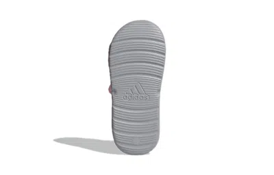 Adidas Originals (ps) Adidas Swim Sandal Pink Sandals