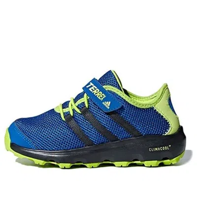 Adidas Originals (gs) Adidas Terrex Cc Voyager Cf K 'blue Green'