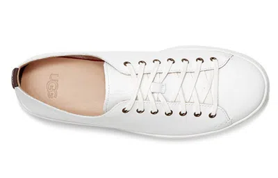 Ugg Pismo Sneaker Low In White