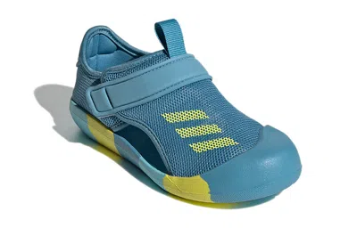 Adidas Originals (ps) Adidas Altaventure Sports Sandals 'blue Yellow'