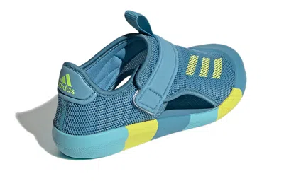 Adidas Originals (ps) Adidas Altaventure Sports Sandals 'blue Yellow'