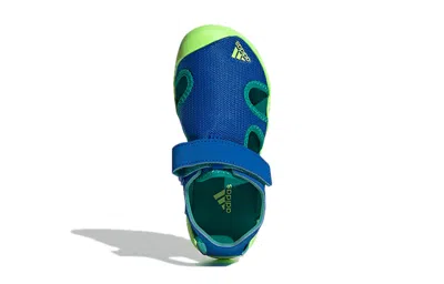 Adidas Originals (gs) Adidas Terrex Captain Toey K 'blue Green'