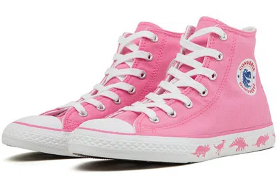 Converse Chuck Taylor All Star Dinoverse High Top Toddler/youth