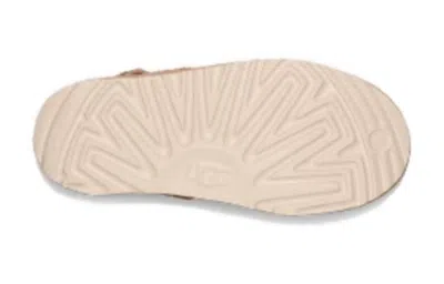 Ugg (gs)  Goldenstar Clog 'driftwood'