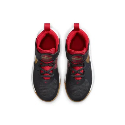 Nike (ps)  Team Hustle D9 'dark Smoke Grey Metallic Gold' In Black