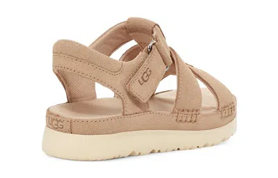 Ugg (ps)  Goldenstar Strap Sandal 'driftwood'