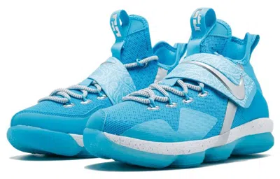 Nike (gs)  Lebron 14 'the Nature Boy'