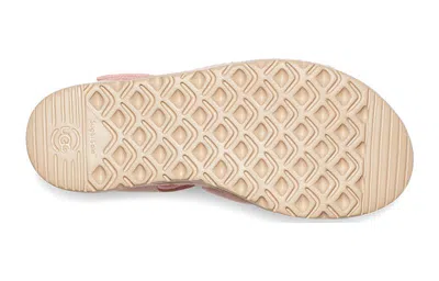 Ugg (ps)  Goldenstar Strap Sandal 'seashell Pink'
