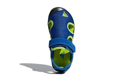 Adidas Originals (gs) Adidas Captain Toey K Velcro Outdoor Flat Heel Sports Blue Green Sandals 'blue Green'
