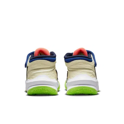 Nike (gs)  Team Hustle D10 Flyease 'white Multi-color'