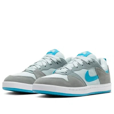 Nike (gs)  Alleyoop Sb 'particle Grey Blue' In Multi