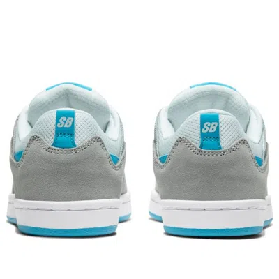Nike (gs)  Alleyoop Sb 'particle Grey Blue' In Multi