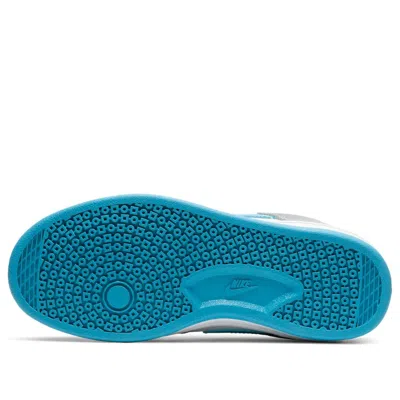 Nike (gs)  Alleyoop Sb 'particle Grey Blue' In Multi