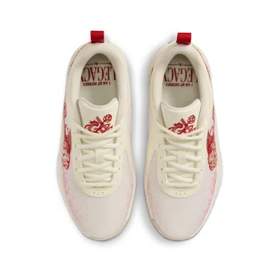 Nike (gs)  Zoom Freak 6 Nrg 'coconut Milk Aster Pink'