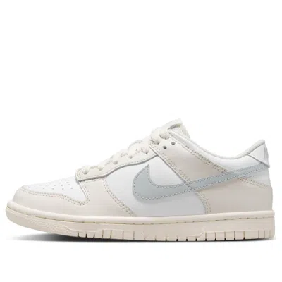 Nike (gs)  Dunk Low 'phantom Light Silver'