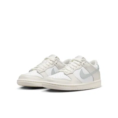 Nike (gs)  Dunk Low 'phantom Light Silver'