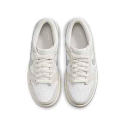 Nike (gs)  Dunk Low 'phantom Light Silver'