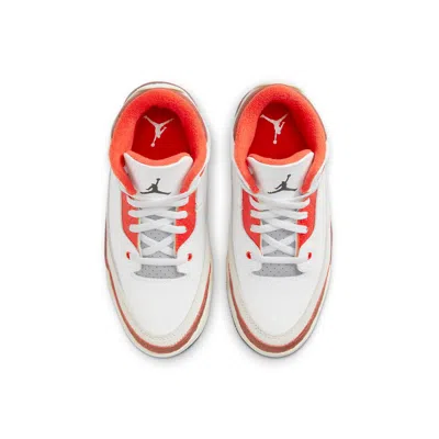 Air Jordan (ps)  3 Retro 'mars Stone' In Multi