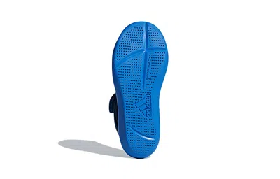 Adidas Originals (ps) Adidas Altaventure J 'legend Marine Yellow' In Blue