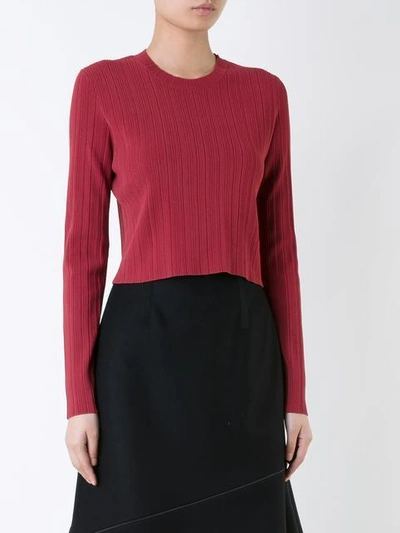 Shop Proenza Schouler Cropped Ribbed Jumper In Red