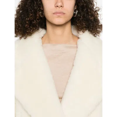 Max Mara Oggeri Teddy Short Coat In White