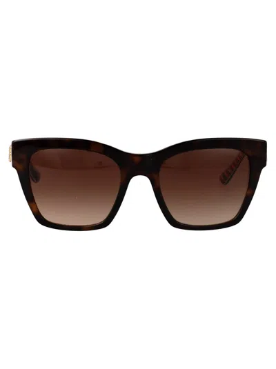 Dolce & Gabbana Squared Sunglasses 0 Dg4384 321773 In Brown