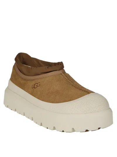 Ugg Tasman Weather Hybrid Chestnut Whitecap Slipper