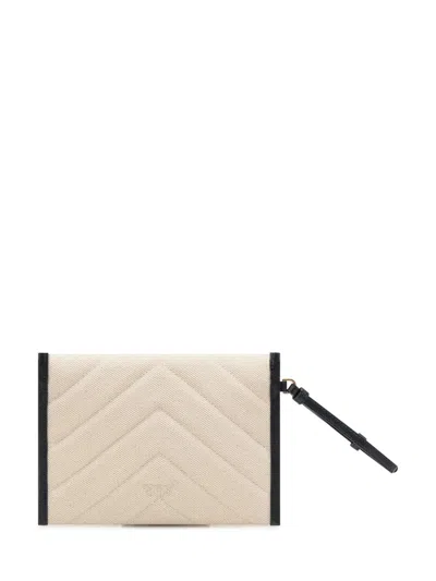 Pinko Flat Canvas Clutch Bag