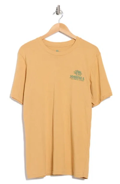 Goodie Two Sleeves Joshua Tree Cotton Graphic T-shirt In Orange