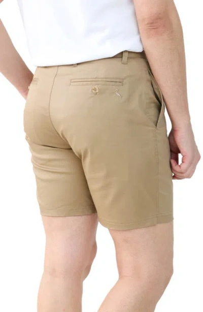 Tailorbyrd Stretch Cotton Chino Shorts In Gray