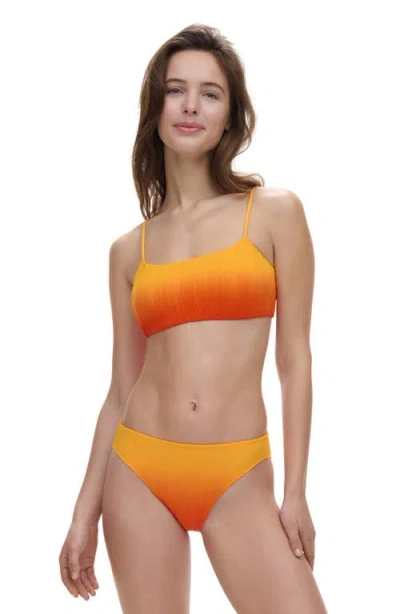 Chantelle Pulp Jacquard Bikini Top In Multi