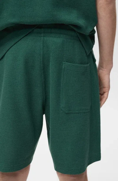 Mango Textured Cotton Bermuda Shorts In Green