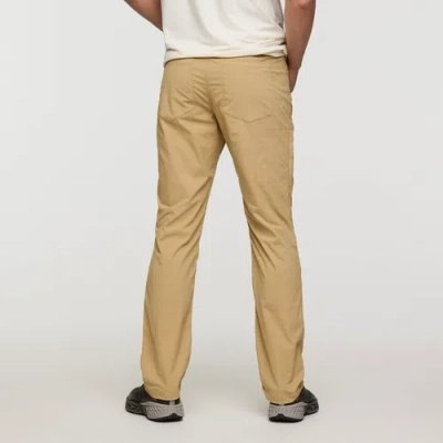 Cotopaxi Coraje Tech Pant In Brown
